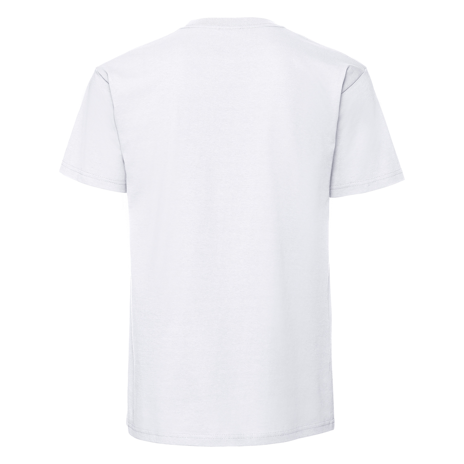 CAMISETA FRUIT OF THE LOOM ICONIC 195 PREMIUM TEES ADULTO