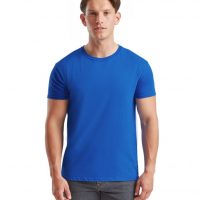 CAMISETA FRUIT OF THE LOOM ICONIC 150 T